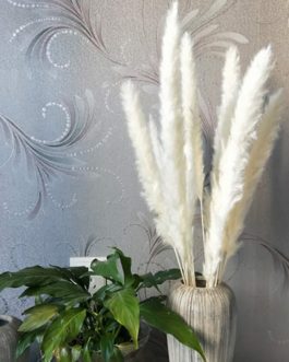 15Pcs/Bunch 50cm Natural Phragmites&Reed Flowers&Bulrush Bouquet Big Dried Pampas Grass Wedding Decoration Home Fall Decor