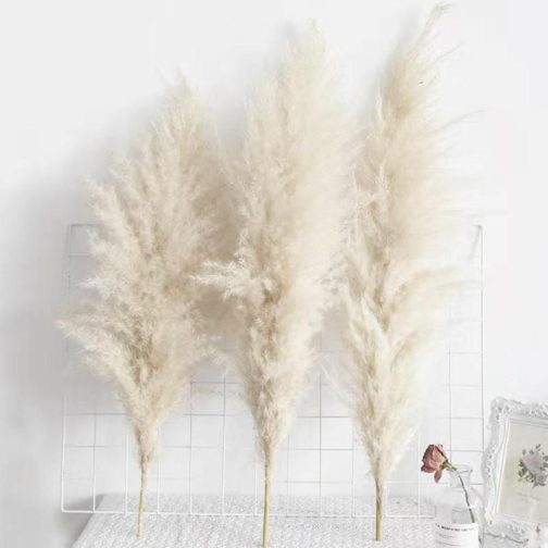 1Pc Dried Natural Pampas Grass Fluffy Dried Wedding Natural Plants White Dried Flower Bouquet For Home Christmas Decoration 55cm - Image 2