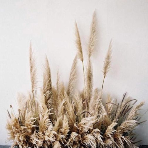 1Pc Dried Natural Pampas Grass Fluffy Dried Wedding Natural Plants White Dried Flower Bouquet For Home Christmas Decoration 55cm - Image 6