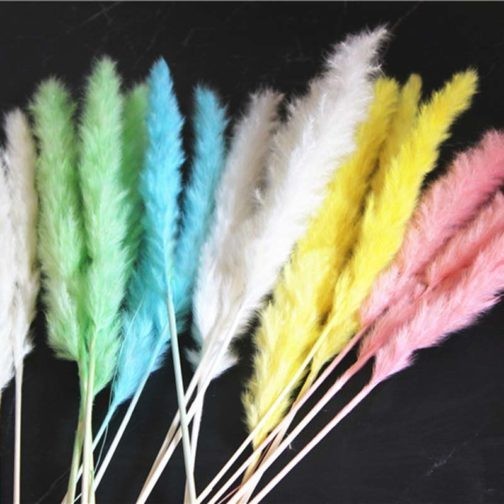 30PCS/Length 42-50CM Real Dried Natural Grass Reed Flower,Dry Small Bulrush Bouquet,Pampas Reeds,Home Decoration,Wedding Decor - Image 6