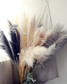 80cm Natural Reed Dried Flores Preservadas Big Pampas Grass Bouquet DIY Wedding Flower Ceremony Decoration Modern Home Decor