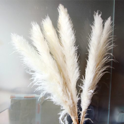 80cm Natural Reed Dried Flores Preservadas Big Pampas Grass Bouquet DIY Wedding Flower Ceremony Decoration Modern Home Decor - Image 4