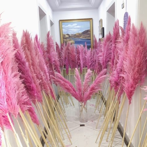80cm Natural Reed Dried Flores Preservadas Big Pampas Grass Bouquet DIY Wedding Flower Ceremony Decoration Modern Home Decor - Image 5
