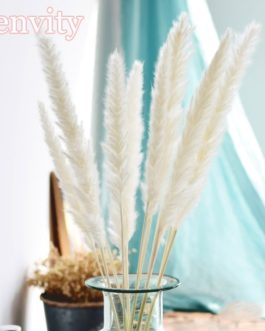 Bulrush Natural Dried Flowers Artificial Plants Branch Colorful INS Pampas Grass Phragmites Fake Flower Wedding Home Decoration