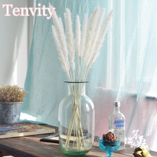 Bulrush Natural Dried Flowers Artificial Plants Branch Colorful INS Pampas Grass Phragmites Fake Flower Wedding Home Decoration - Image 3