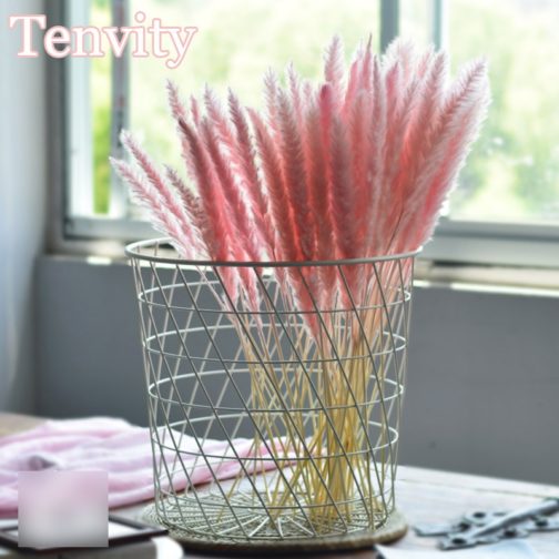 Bulrush Natural Dried Flowers Artificial Plants Branch Colorful INS Pampas Grass Phragmites Fake Flower Wedding Home Decoration - Image 5