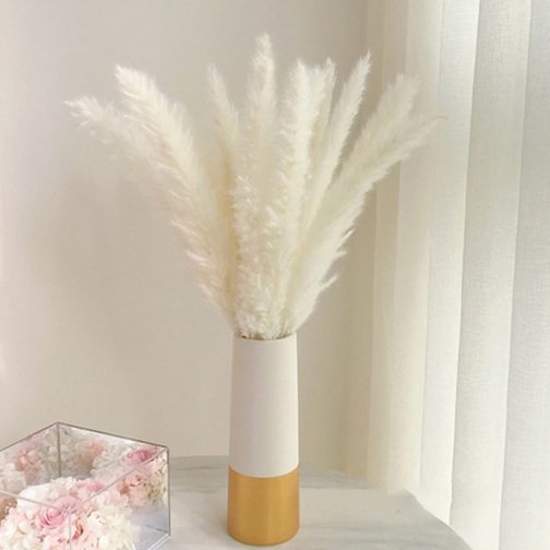 Bulrush Natural Dried Flowers Artificial Plants Branch Colorful INS Pampas Grass Phragmites Fake Flower Wedding Home Decoration