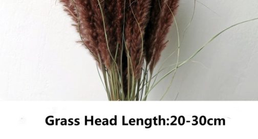 15Pcs Dried Small Pampas Grass Flowers Pantas Artificiales Para Decoracion Real Plants Home Decor Wedding Decoration - Image 12