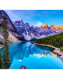 CHENISTORY DZ991974 DIY Painting By Numbers landscape oil painting by number paint by number canvas Modern Home Wall Art (40*50cm)