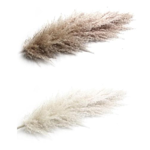 1Pc Dried Natural Pampas Grass Fluffy Dried Wedding Natural Plants White Dried Flower Bouquet For Home Christmas Decoration 55cm - Image 9