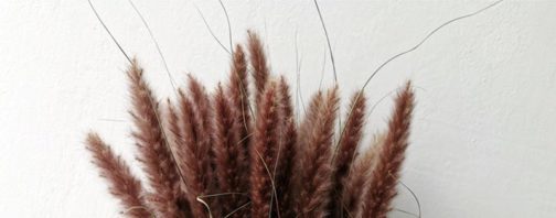 15Pcs Dried Small Pampas Grass Flowers Pantas Artificiales Para Decoracion Real Plants Home Decor Wedding Decoration - Image 11