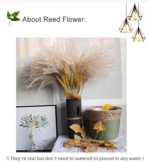 20 Stems Dried Pampas Grass Bouquet Wedding Decor Dried Flowers Christmas DecorArtificial Flowers Fall Decor Altificial Grass - Image 8