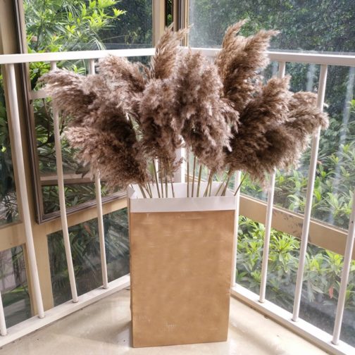 20pcs dried pampas grass natural phragmites&reed flowers&bulrush flowers communis wedding flower bunch - Image 9