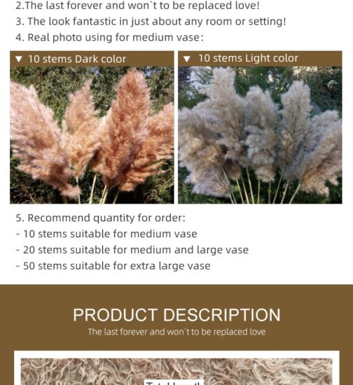 20 Stems Dried Pampas Grass Bouquet Wedding Decor Dried Flowers Christmas DecorArtificial Flowers Fall Decor Altificial Grass - Image 9