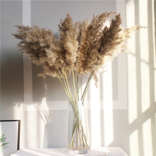 Light color wedding flowers bunch natural dried pampas grass flower beautiful reed christmas home wedding decoration phragmites