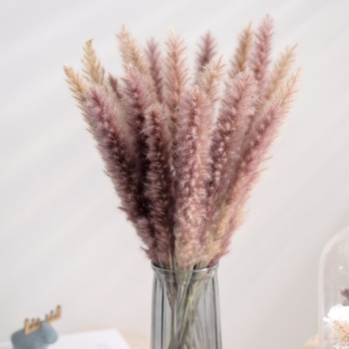 Real Wheat Decoration Natural Pampas Rabbit Tail Grass Dried Flowers For Wedding Party DIY Craft Typha Lagurus ovatus Phragmites - Image 5