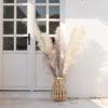 Dry flower decoration wholesale pampas grass dried flowers