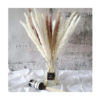 Decorative Flower 1.5m 100cm 45cm Large Dried Wedding Home Fluffy Prundo Phragmites Reeds dry flowers natural Pampas Grass