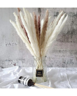 Decorative Flower 1.5m 100cm 45cm Large Dried Wedding Home Fluffy Prundo Phragmites Reeds dry flowers natural Pampas Grass