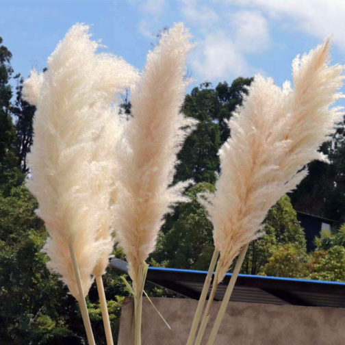 A-3 2021 new arrivals amazon amazon natural decorative flowers dried flower artificial flowers large pampas pampa grass