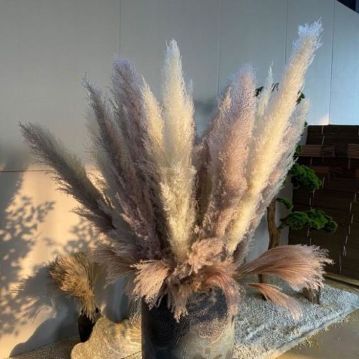 Wholesale Dried Flower Dry Pampas Grass For Decoration