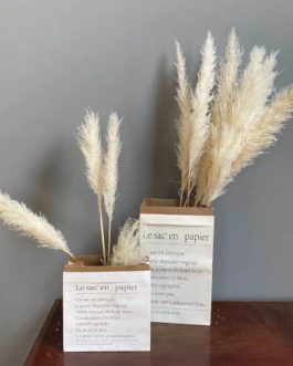 hot selling dried pampas grass natutal color large reed wdding decor (as photo)