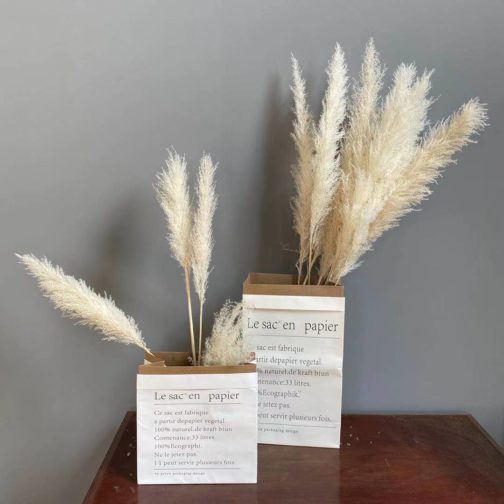 hot selling dried pampas grass natutal color large reed wdding decor