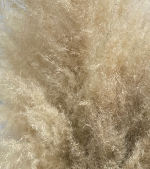 hot selling dried pampas grass natutal color large reed wdding decor