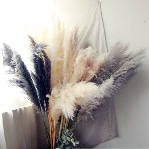 Wedding Natural Dry Flowers Large Fluffy White Dried Pampas Grass