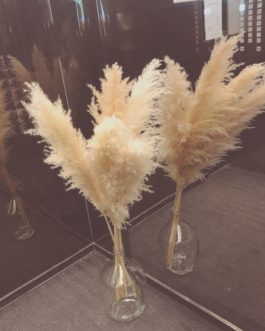 H-1Boho Large Dried Dry Pampas Grass Flower Beige Color Fluffy Feather Wedding Home Decoration Cheap Wholesale Factory Supply