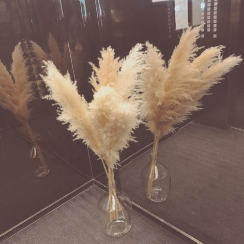 H-1Boho Large Dried Dry Pampas Grass Flower Beige Color Fluffy Feather Wedding Home Decoration Cheap Wholesale Factory Supply