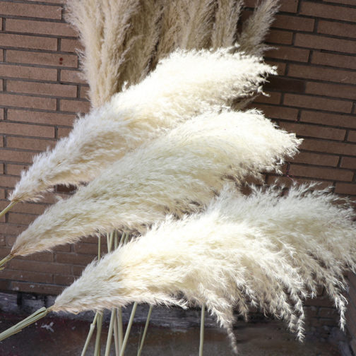 A-3 2021 new arrivals amazon amazon natural decorative flowers dried flower artificial flowers large pampas pampa grass