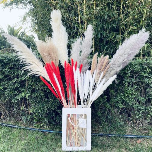 Yunnan Hot Sale Wholesale Home Decorative Dried Reeds 120 cm Bleached Big Pampas Grass