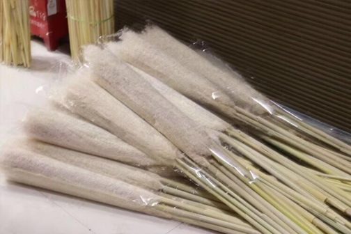 Yunnan factory natural large dried decorative pampas grass natural pampas grass for decor